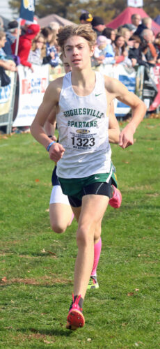 Four local runners earn state medals at PIAA cross country ...